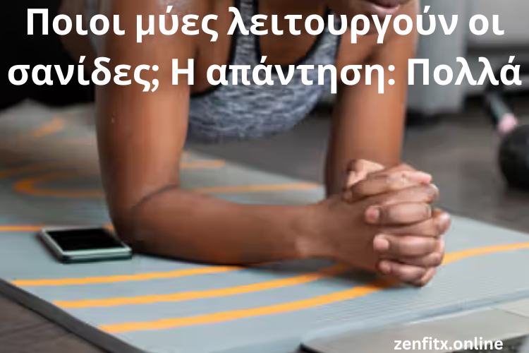 Ποιοι μύες λειτουργούν οι σανίδες; Η απάντηση: Πολλά